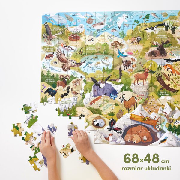 Dzikie puzzle Parki narodowe ukladanka 68x48cm
