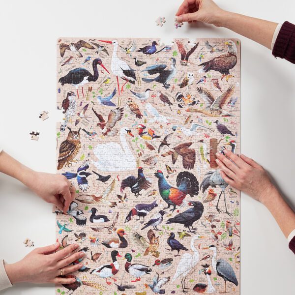 Puzzlove Ptaki ilustracja 1000 elementow