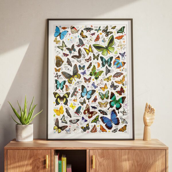 plakat Motyle ozdoba pokoju