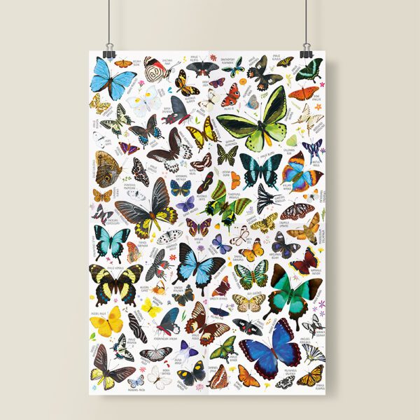 plakat do powieszenia z motylami