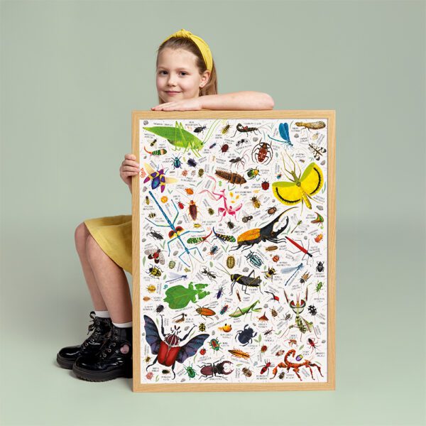 plakat Owady dla fana biologii