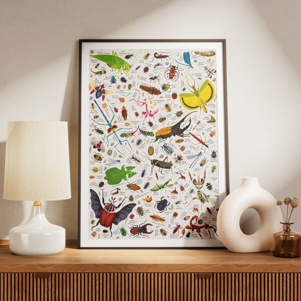 plakat Owady ozdoba pokoju