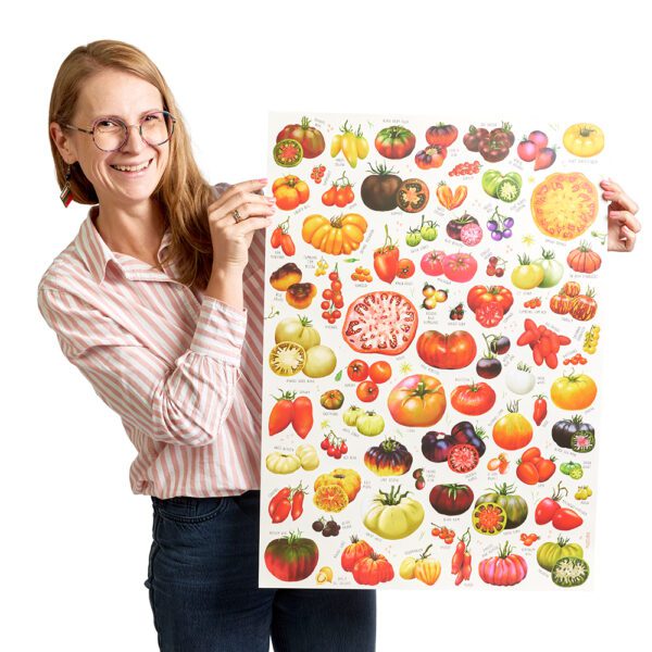 plakat z pomidorami B2