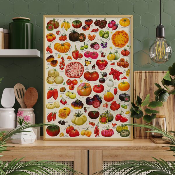 plakat Pomidory w ramie