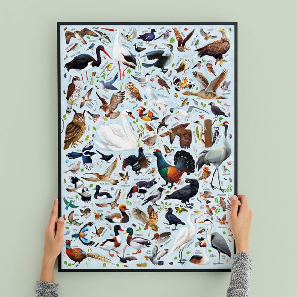 Ptaki Polski plakat dekoracja